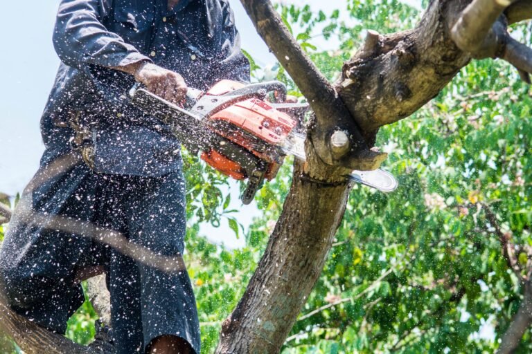 tree_cutting-scaled